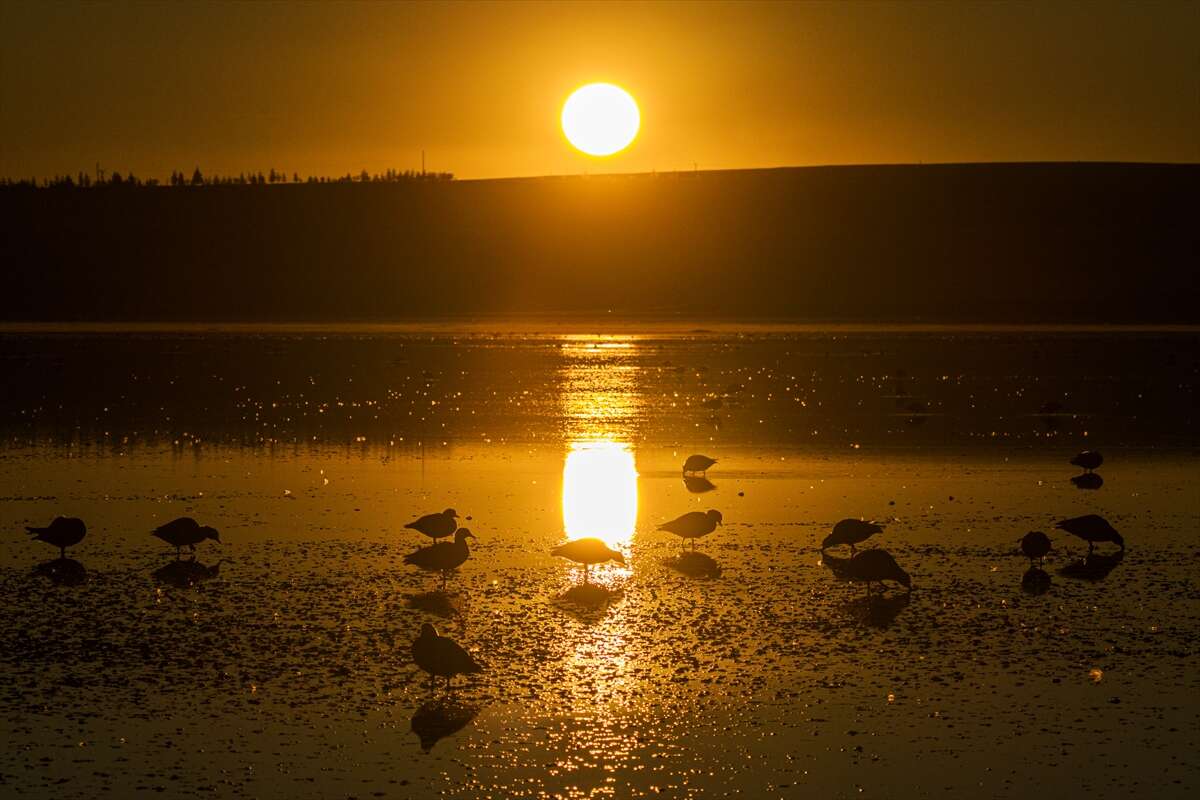 Konya’da doğa ziyafeti 16